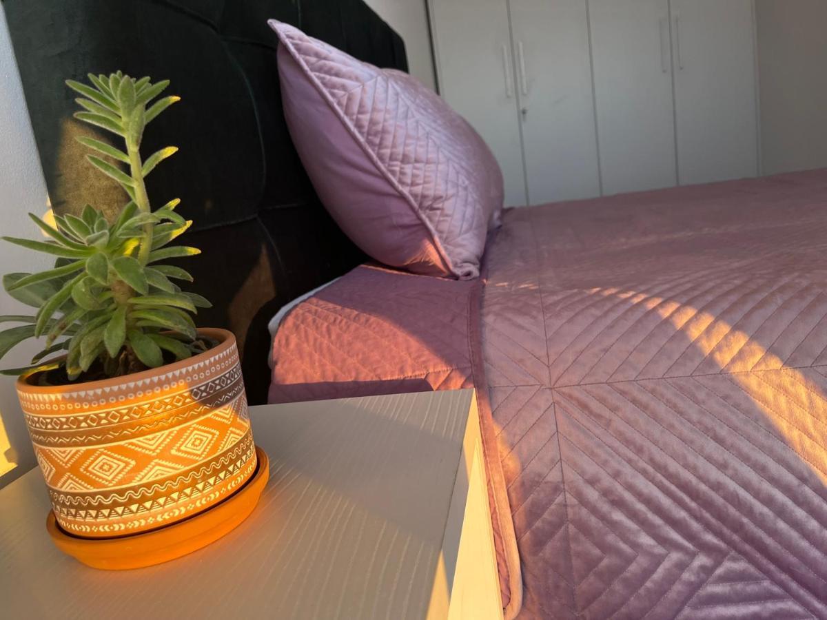 Comfy Nest Apartment- Free Parking ティラナ エクステリア 写真