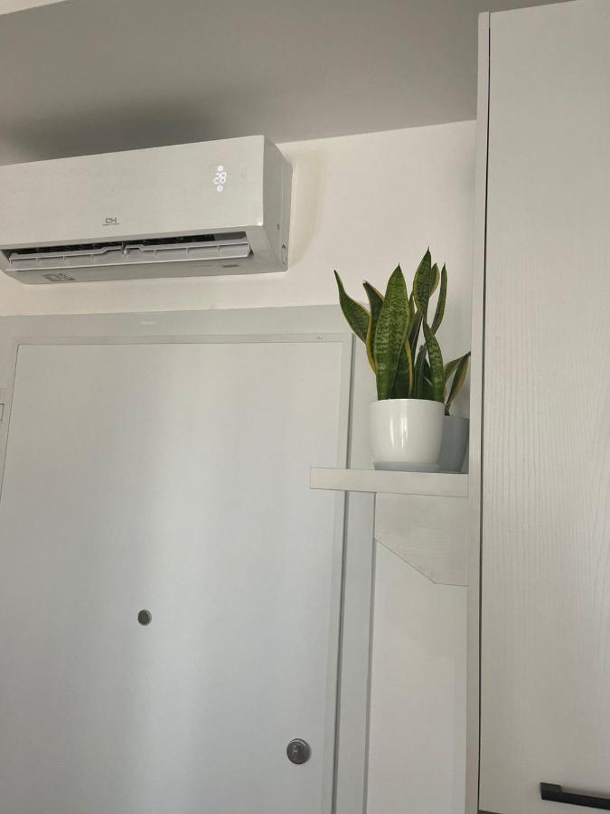 Comfy Nest Apartment- Free Parking ティラナ エクステリア 写真
